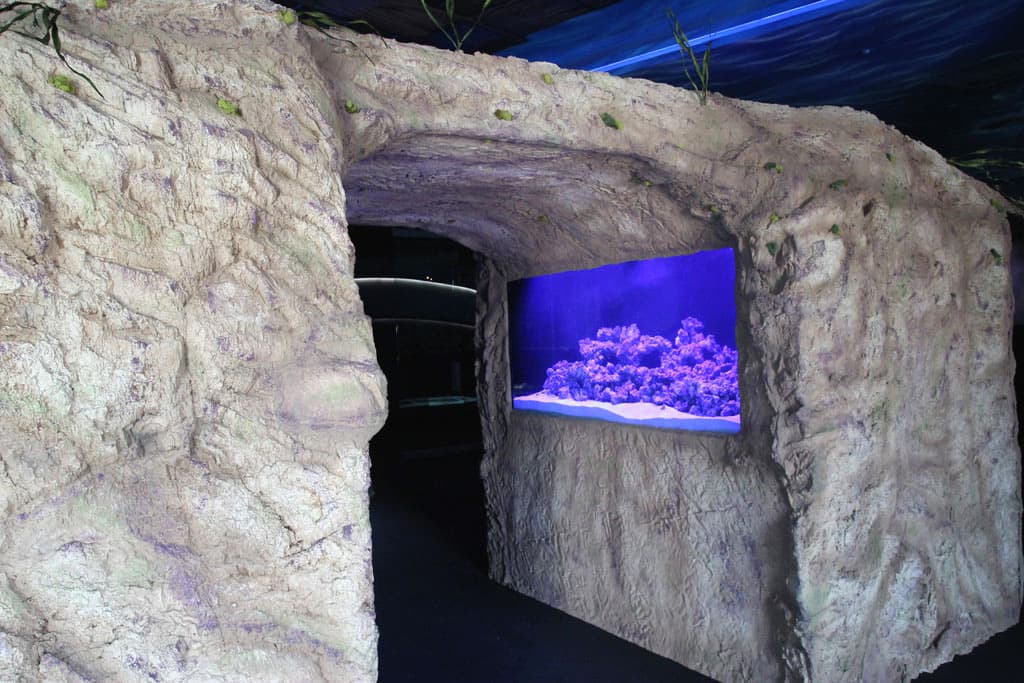 IBOC rockwork and aquarium integration