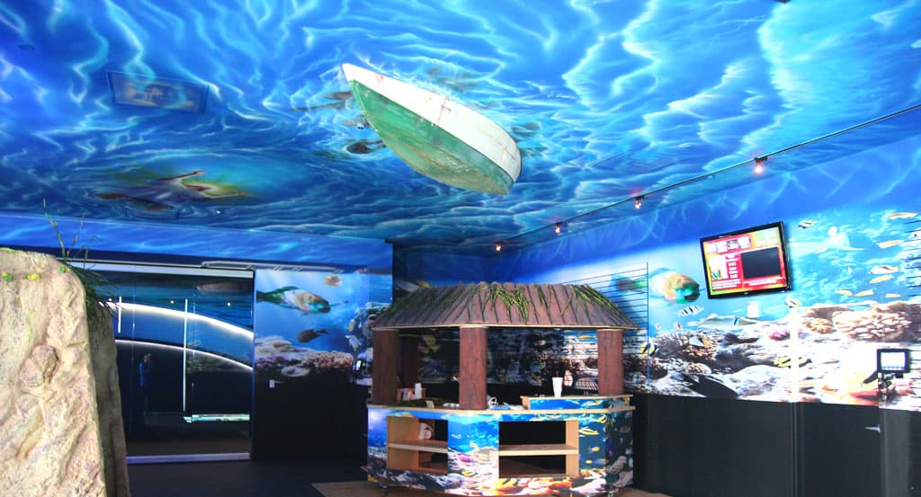 Wide view of the IBOC underwater children's ministry environment
