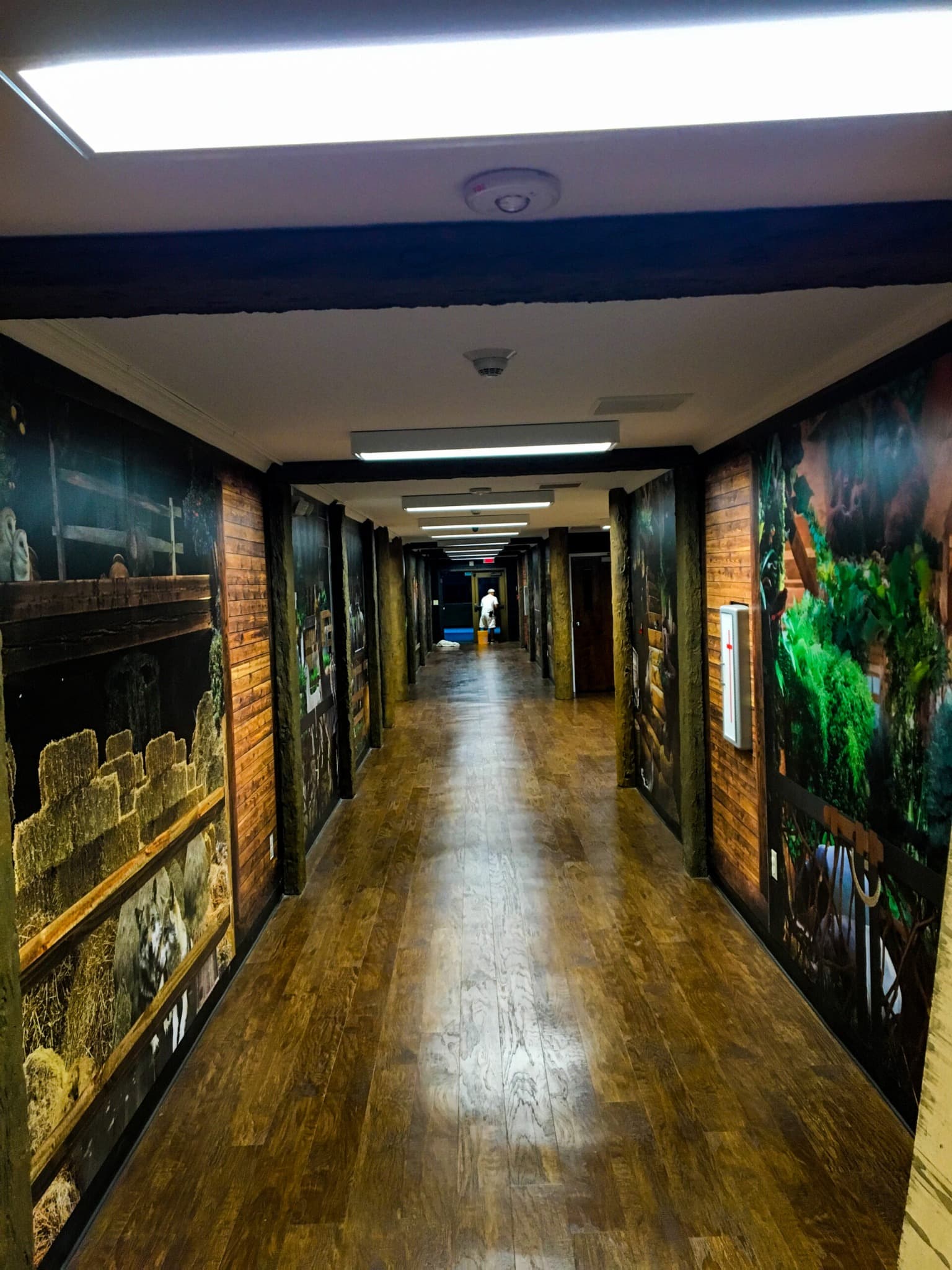 Themed hallway representing the interior stalls of Noah’s Ark