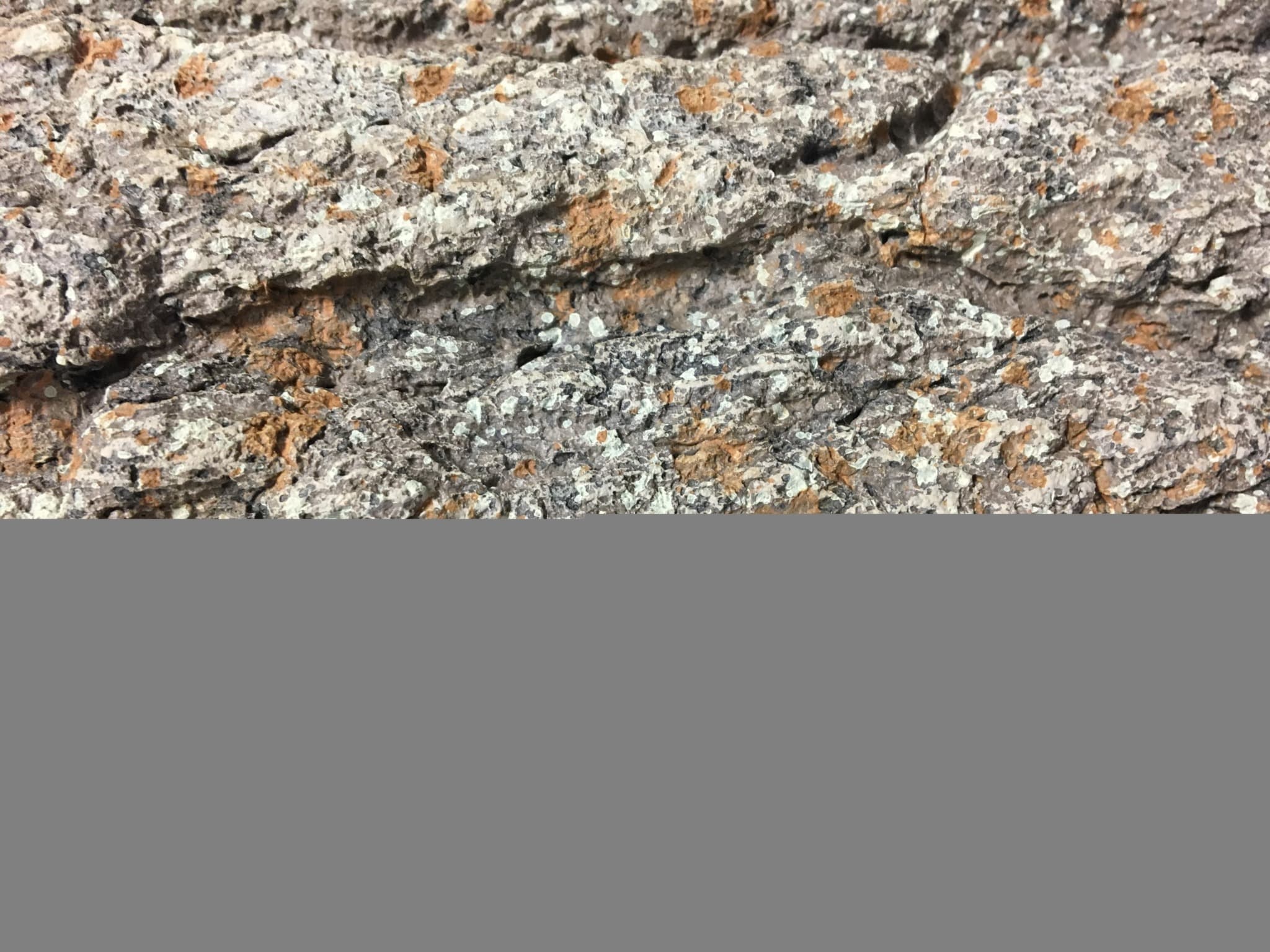 Realistic bark scenic finish